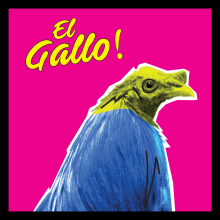 Gallo Pop. Design gráfico projeto de Mike Escobar - 02.08.2017