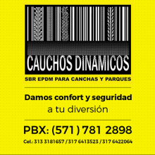 Cauchos dinámicos web. Web Design projeto de Mike Escobar - 02.08.2017