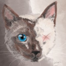 Pintura de gato. Ilustração tradicional projeto de Elisabeth García Naranjo - 05.08.2017