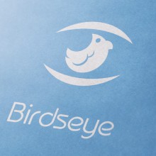 BirdsEye | Branding | Logotipo. Design, Br, ing, Identit, and Graphic Design project by Freenesi Criativa - 08.10.2017