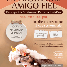 Fundación Gatera Doña Felisa. Advertising project by Milen Sanmiguel - 09.06.2017