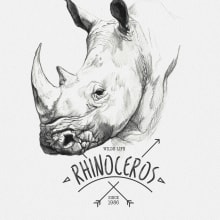 RHINOCEROS. Traditional illustration project by miguel sastre - 08.30.2017