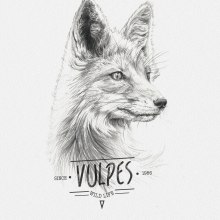 VULPES. Traditional illustration project by miguel sastre - 08.30.2017