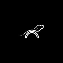 ARCOIRIS PETS // Logotype development.. Un proyecto de Diseño gráfico de Dani Caldevilla - 01.04.2017