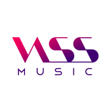 VASSmusic. Un proyecto de Diseño, Br, ing e Identidad y Diseño gráfico de Hugo Menéndez Escobar - 05.12.2016