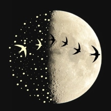 Moonwatching. Un proyecto de Diseño e Ilustración vectorial de María León - 20.03.2015