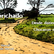 Camino Encaprichado. Un proyecto de Ilustración tradicional y Escritura de Luis Marval - 03.03.2016