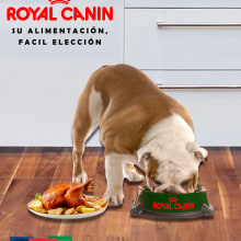 Gráfica Royal Canin. Advertising, and Art Direction project by Jorge López - 10.16.2017