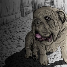 Bulldog. Traditional illustration, and Vector Illustration project by Alan Alfaro Dávalos - 05.12.2016
