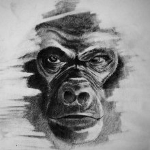 Gorila. Un proyecto de Ilustración tradicional de Alberto Martinez Romero - 22.10.2017