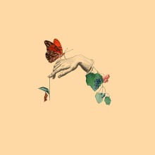 Insectos - Collage. Een project van Traditionele illustratie van Coral Medrano - 26.10.2017