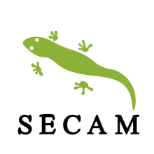 Logotipo Secam. Un proyecto de Diseño, Br, ing e Identidad, Diseño de iconos y Diseño de pictogramas de Sergio Campo - 19.10.2017