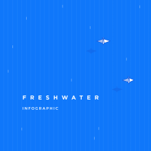 Freshwater is a Basic Need - Infographic. Ilustração tradicional, Design gráfico, Arquitetura da informação, Design de informação e Infografia projeto de Marcial Rodrigo Paulete - 08.11.2017