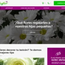 Blog Kukyflor. Desenvolvimento Web projeto de Victor Alonso Pérez Lupú - 16.11.2017