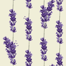 Pattern Lavanda . Design, Traditional illustration, Fashion, and Graphic Design project by Laura Garcia - 06.25.2016