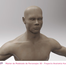 Estudio de anatomía. 3D project by ED Herrera - 11.26.2017