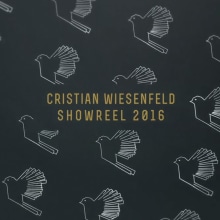 Showreel 2016. 3D, and Animation project by Cristian Wiesenfeld - 12.01.2017