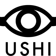 Direction and design for the Ushi eyewear Ein Projekt aus dem Bereich Traditionelle Illustration und Grafikdesign von Flavio Ventre - 11.01.2013