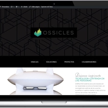 Web Ossicles. Un proyecto de Dirección de arte y Desarrollo Web de Moisés Salmán Callejo - 18.12.2017
