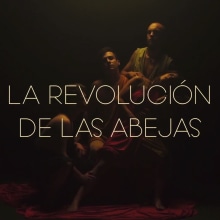 STORYBOARD "La Revolución de las Abejas"- Viceoclip GIMNÁSTICA. Video project by Carlos Piñol Corbí - 12.20.2017