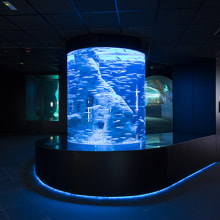 Aquarium Donostia-San Sebastián. Un proyecto de Arquitectura y Diseño gráfico de TGA - 20.12.2017