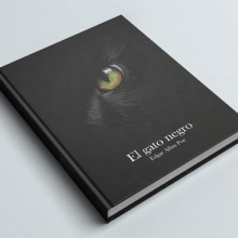 Edgar Allan Poe. Ilustração tradicional, Fotografia, Design editorial, e Artes plásticas projeto de Elena Martín Beci - 05.11.2017