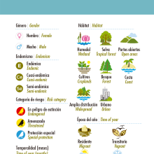 Iconografía: Aves de Colima. Un proyecto de Diseño de iconos de Jonatan López Hernández - 01.07.2015