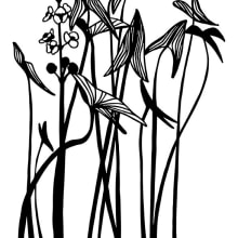 Ilustraciones botánicas para serigrafía. Un proyecto de Ilustración tradicional, Serigrafía e Ilustración vectorial de Raquel Ligero - 01.01.2016