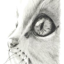 ...my little cat.... Un proyecto de Ilustración y Bellas Artes de Helena de la Cruz - 04.03.2018
