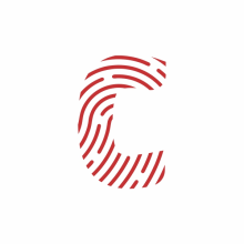 Identidad, Red Concept. Un proyecto de Br, ing e Identidad y Diseño gráfico de Rodrigo Rojas - 16.03.2018