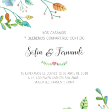 Invitación Boda. Design, and Traditional illustration project by Natalia Zeiguer - 03.28.2018