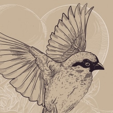 Ilustración Vectorial Pájaro. Traditional illustration, and Vector Illustration project by Ana Sansó - 03.30.2018