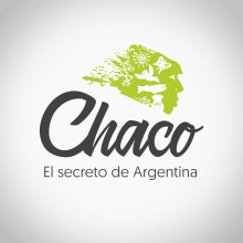 Chaco, el secreto de Argentina. Un proyecto de Diseño, Diseño editorial, Diseño gráfico, Diseño de la información, Diseño de iconos y Diseño de pictogramas de Milena Gaborov Milich - 05.04.2018