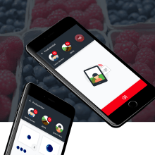 UI / UX App recolección fruta en Marruecos. Un proyecto de UX / UI y Diseño interactivo de Raquel Sacristán Risueño - 22.04.2018