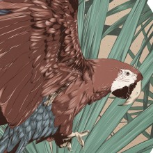 Tropic. Un proyecto de Ilustración tradicional, Dibujo e Ilustración digital de Alexandra España - 27.06.2017