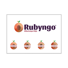 Propuesta rediseño de marca para Rubyngo (2018). Un proyecto de Br, ing e Identidad y Diseño gráfico de INMANTADAGRAFIK - 06.03.2018
