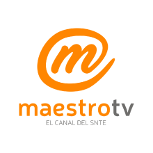 Maestro TV. Un proyecto de Diseño de iconos y Diseño de logotipos de hugo molina - 01.07.2017