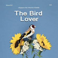 The bird lover. . Un proyecto de Ilustración tradicional, 3D, Escultura, Escenografía y Papercraft de Diana Beltran Herrera - 10.06.2018