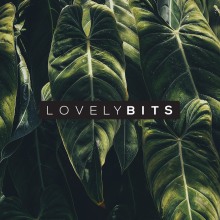 Lovely Bits. Un proyecto de Dirección de arte, Br, ing e Identidad, Consultoría creativa y Diseño gráfico de Teresa Baena - 11.06.2018