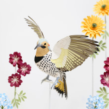 Northern flicker. . 3D, Set Design, Paper Craft, and Character Animation project by Diana Beltran Herrera - 06.30.2018