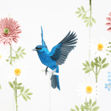 Indigo bunting. . 3D, Animation, Character Design, Set Design, and Paper Craft project by Diana Beltran Herrera - 07.10.2018