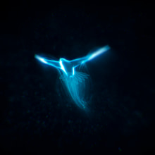 Patronus. Design, 3D, and Animation project by Pedro Masa Parra - 07.21.2018