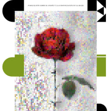 Video portada para el primer boletín interactivo CEdiR. Editorial Design, Fine Arts, and 2D Animation project by Jesús Ángel Ciarreta Palacios - 07.25.2014
