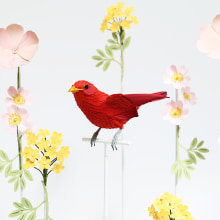 Summer tanager . Traditional illustration, 3D, Arts, Crafts, Fine Arts, Set Design, and Paper Craft project by Diana Beltran Herrera - 08.15.2018