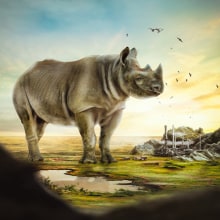 Rhino. Fine Arts, Photo Retouching, Creativit, and Concept Art project by Aneth Charles - 08.17.2018