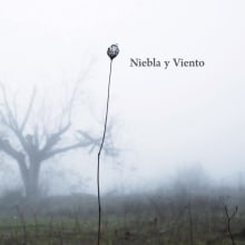 Niebla y Viento (videoart). Film, Video, TV, Photograph, Post-production, and Video project by Pedro Herrador Román - 08.20.2018