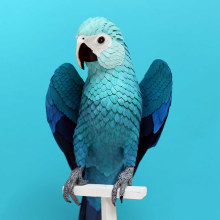 Spix macaw . 3D, Character Design, Product Design, Paper Craft, and Product Photograph project by Diana Beltran Herrera - 09.24.2018