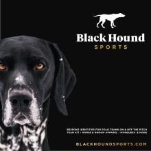 BlackHound Sports / Social Media. Design, Graphic Design, and Social Media project by Magdalena Irós - 10.01.2018