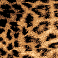 Pattern Leopard Skin. Design project by Cristian Quinteros - 10.03.2017