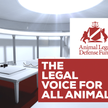 The Legal voice for all Animal Ein Projekt aus dem Bereich Motion Graphics, Animation und 3-D-Animation von Aitor Perez-Cuadrado Hedström - 08.10.2018
